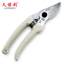 Taïwan Import Kubaoli Whole Branch Cut Garden Cut and garden cut Pruning Pruning Pruning Pruning Fruit Tree Cut of Flower Garden Art Tools SK5 Steel