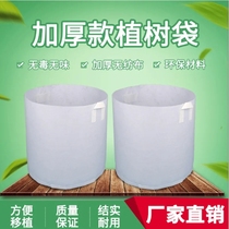 Planting bag rectangular non-woven fabric seedling bag sapling seedling seedling nursery plant cultivation nutrient bag outdoor