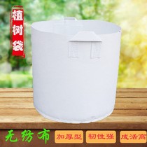 Non-woven nutraceutical bag Seedling Bag Potted Strawberry Planting Bag Flower plant Fruit Miao planting Planting Lifting Handle