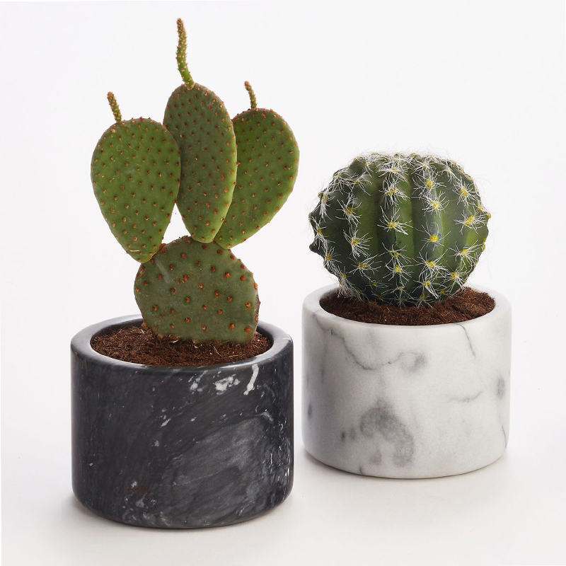 succulent plant pots flowerpot marble creative micro-landscape small living room tea table porch ornaments home accessories