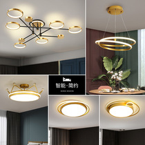 Living room lamp chandelier 2021 New light luxury modern simple atmosphere high-end Nordic lamp combination whole house package