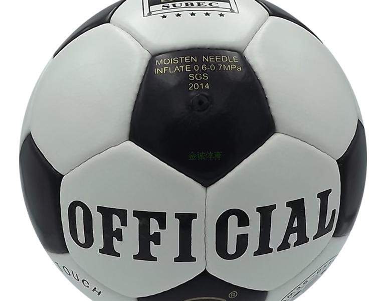 Ballon de football - Ref 7393 Image 12