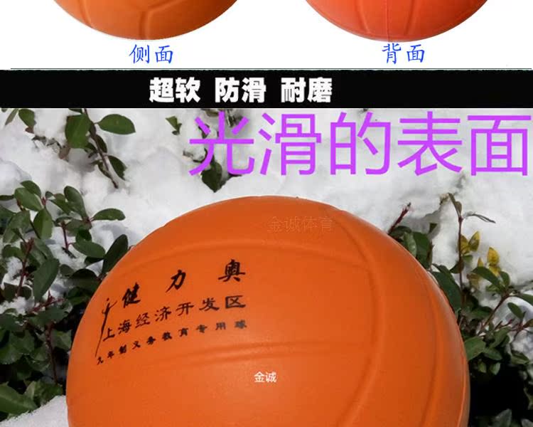 Ballon de volley-ball - Ref 2010414 Image 9