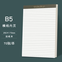 Бумажная копия [версия с горизонтальной линией] объём B5/1