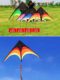 2026 New Model Children's Easy-To-Fly Prairie Kite, Adult-Specific Internet-Famous Adult Weifang Kite, Large Size 2026