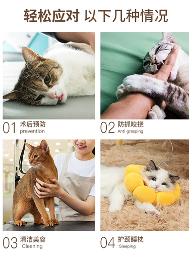 Элизабет Кэт Кот Кэт Абс Круг Круг Анти -гибкий короткий кот короткий кошачий кружок Круг Круг Круг Дог ПЭТ -продукты