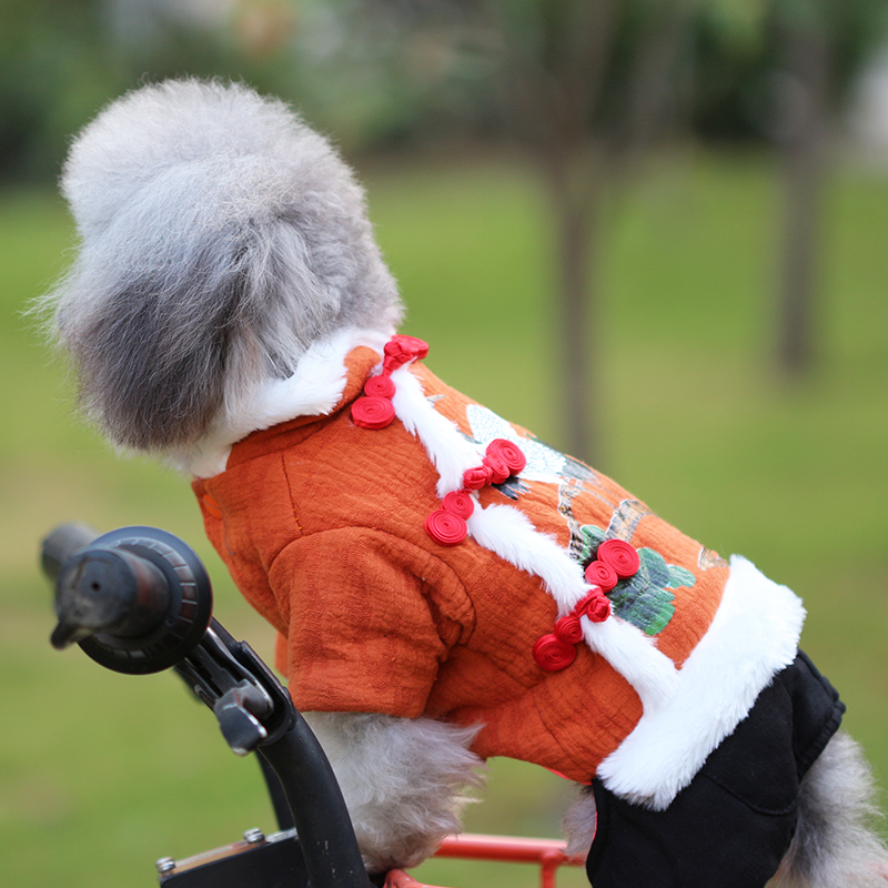 New Year's Tang suit, dog clothes, Teddy, small dog, pet, New Year's greetings, four-legged Spring Festival, autumn and winter, cotton-padded clothes