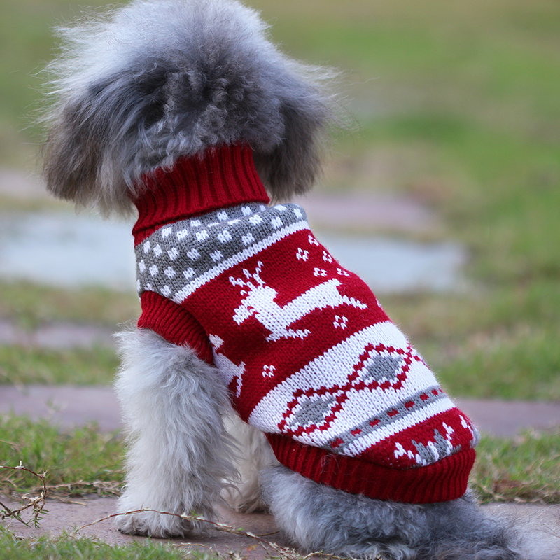 Teddy dog ​​clothes autumn and winter clothes warm small dog Pomeranian bear puppy French fighting cat cute winter sweater