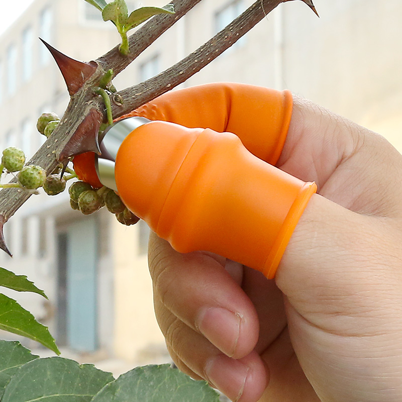 Fruit and vegetable picking gadget peanut peanut pepper fingernail fingernails