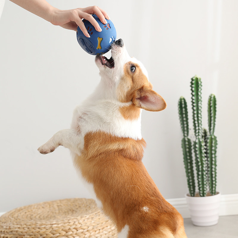 Pooch grinders Grinders Intellect Dog Food Intellect Dog Food Puzzle leaky Ball Bite Pet Supplies Deconsulting the Divine Instrumental Dog Toy