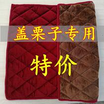 Candied roasted chestnut insulation blanket roasted goods shop chestnut insulation cloth stall food insulation quilt warm cover small quilt quilt
