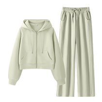 Pull back sports suit for women 2024 new spring and autumn fashion short sweatshirt for women a complete set of autumn wear Z