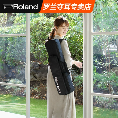 Roland AE10 модернизированный тип, выдуваемая труба Электронная саксофон AE20 Электронная звуковая трубка Черная труба Новая флейта AE30