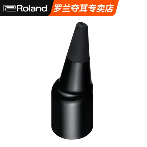 Roland AE-10 Blowing Toober Pibe Pipe Fib Flute Head Ae-05 Tub