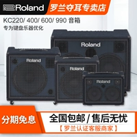 Roland Roland KC220 \ 400 KC600 KC990 Стерео -клавиш