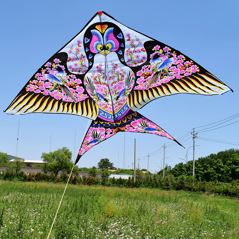 Sand Swallow Kite Breeze Easy To Fly Children Adult Beginners Weifang Traditional Bronzing Golden Yanzi Great Mega Small Kite