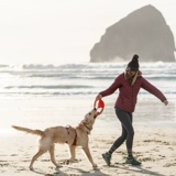 拉夫威尔 Игрушка, дорожное интерактивное фрисби для тренировок, подходит для подростков, домашний питомец