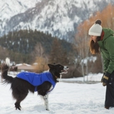 拉夫威尔 Xuexue Anti -Cold Clothing Dog Одежда американский ветер RW и теплые осенние и зимние домашние принадлежности