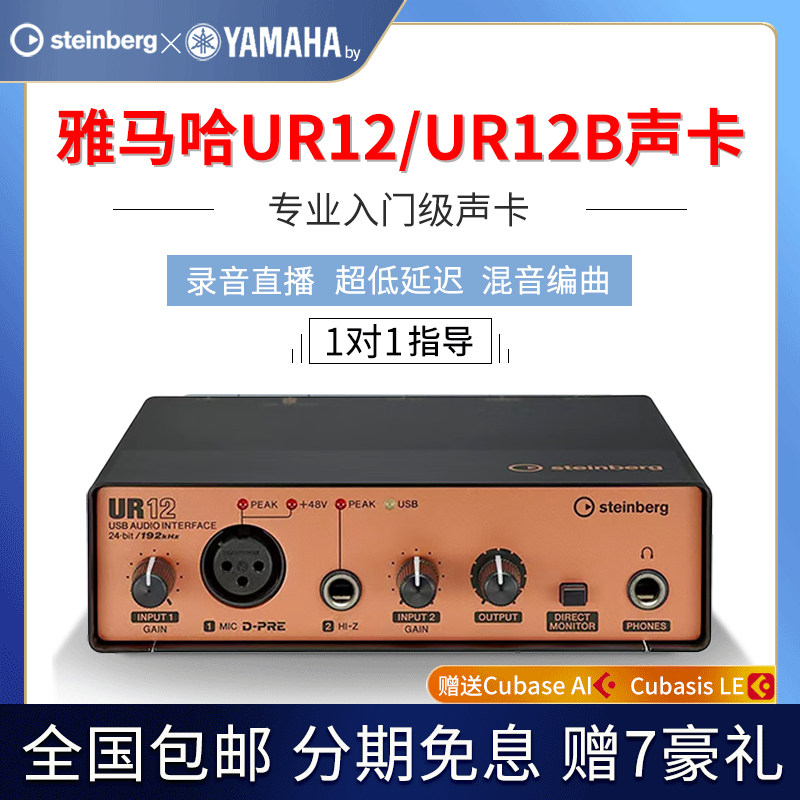 Steinberg mountain leaf YAMAHA UR12 professional recording live musical instrument choreography with sound book sound card