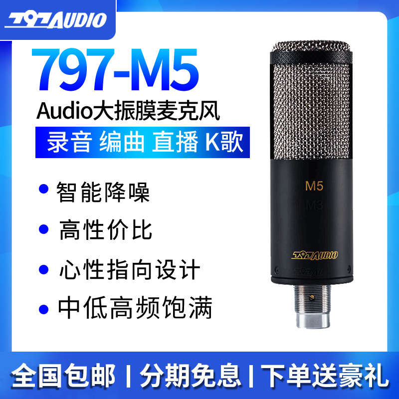 797 Audio M5 Large Diaphragm Condenser Microphone Recording Live K Song Cover Vocal Microphone Guitar Recording