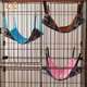 cat double-sided soft suede hammock autumn and winter cat nest pet nest cat mat cat cage hanging bed ອຸປະກອນສັດລ້ຽງ