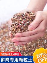 Nutritional soil universal raw stone flower special native plant flower special multi-meat planting large grain clay charcoal pure grain
