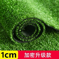 Модель обновления шифрования 1см [1 квадратная цена]