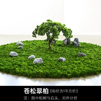 Cangsong cui bai/один квадратный метр