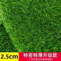 2,5см обработка скуметров.