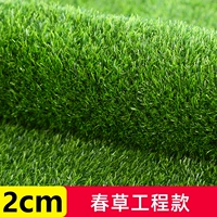 2 см фонды проекта Spring Grass [1 квадратная цена]