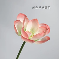 Розовый лотос