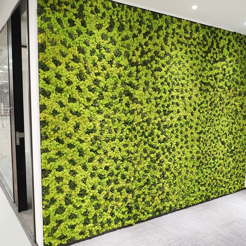 Индивидуальная вечная моховая стенка