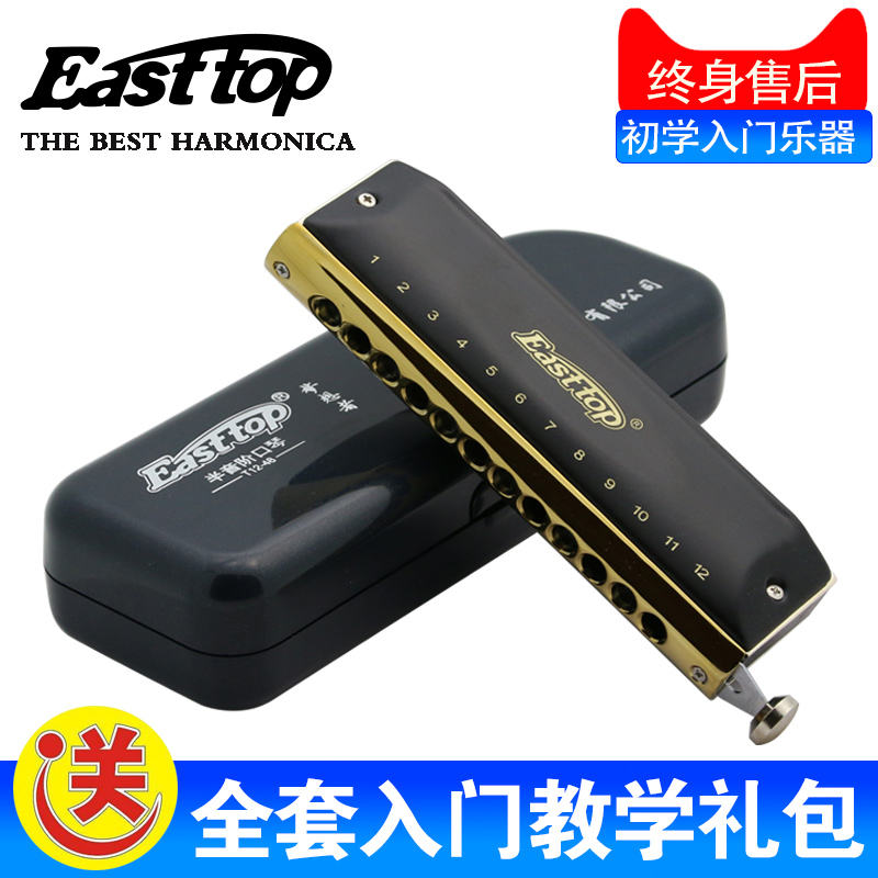 Easttop Oriental Ding T-1248 Dreamer 12-hole 48-tone advanced playing chromatic scale beginner harmonica T1248