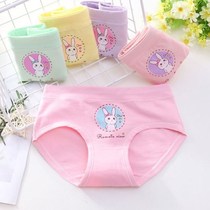 Female childrens underwear 12 + years old 5 triangular pure cotton CUHK childrens baby students full cotton shorts little girl