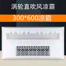 Liangba kitchen embedded integrated ceiling dedicated cold bully lighting two-in-one toilet hair dryer 300 × 60