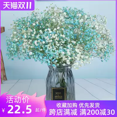 Dry flower decoration decoration natural dry flower real flower basket color starry dry flower bouquet family living room decoration vase