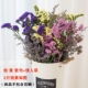 Mua 1 tặng 1 bó hoa gypsophila khô lớn - Trang trí nội thất