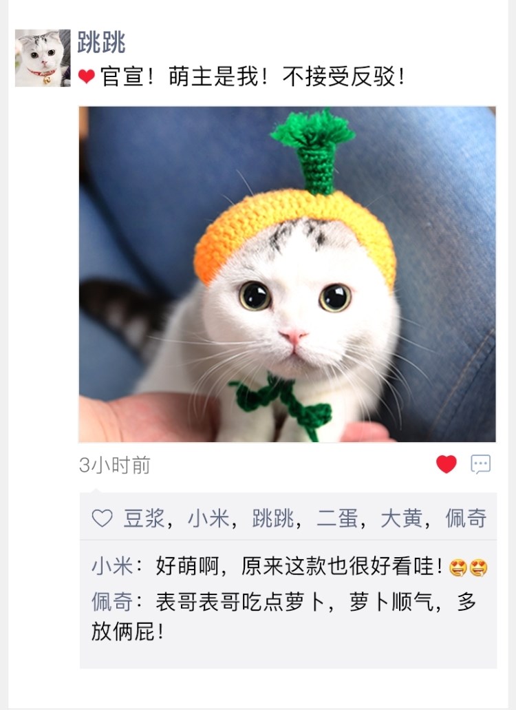 Pet Giáng sinh khăn quàng cổ Đồ trang sức Samoyed cung cấp dày mèo đặc trưng mèo mũ Trung Quốc trang phục năm mới - Quần áo & phụ kiện thú cưng áo cho chó poodle