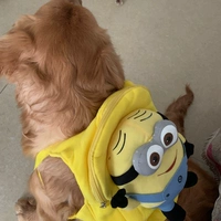 Желтый, модернизированная версия