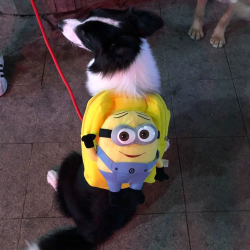 Рюкзак, портативный ранец для путешествий для выхода на улицу, подходит для подростков