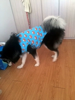 Синий, с медвежатами