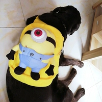 Улучшенная версия желтого монокулярного глаза