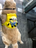 Желтый, модернизированная версия