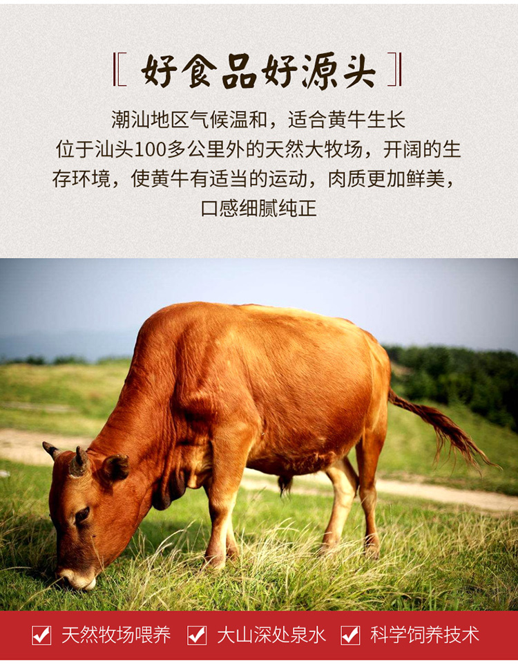 潮兴记 正宗潮汕牛肉丸+牛筋丸 500g 图2