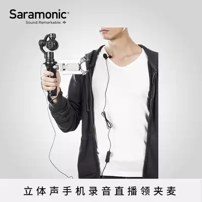 Maple flute condenser recording microphone Mini wireless in-line monocular micro-SLR camera Camera radio noise reduction special equipment