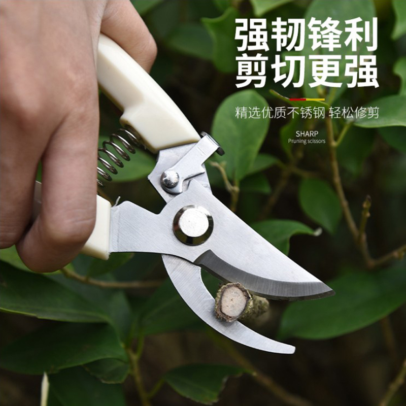 No-wear pruning branch scissors Branch scissors Gardening scissors Pruning scissors Fruit branch scissors Fruit tree trimming scissors Garden tools