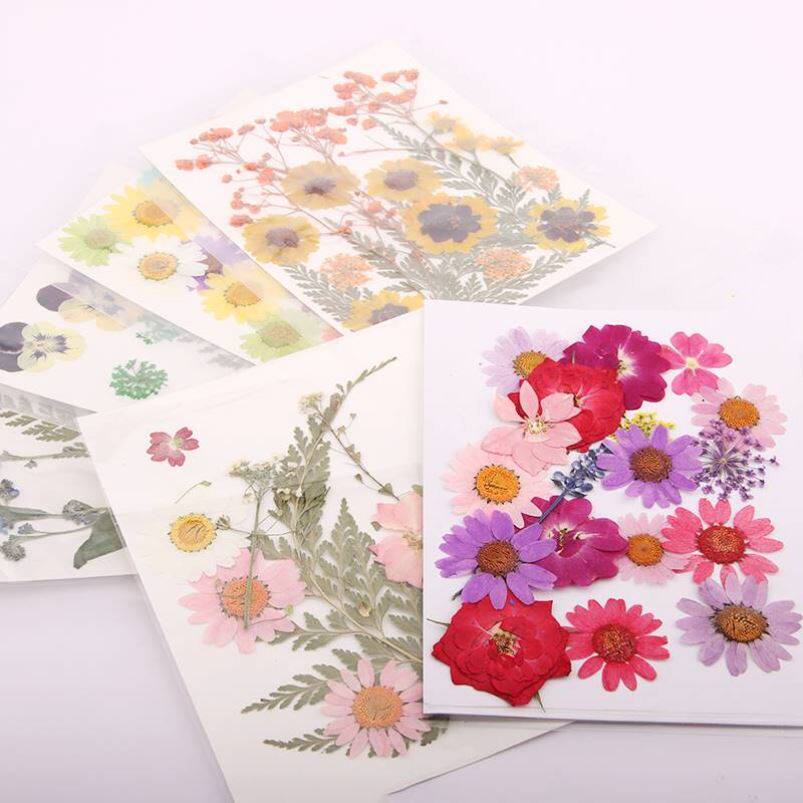 Leaves paste Painter Kindergarten handmade Collage Parent-child Activity Diy Material Plant Bookmark Leaf Specimen 