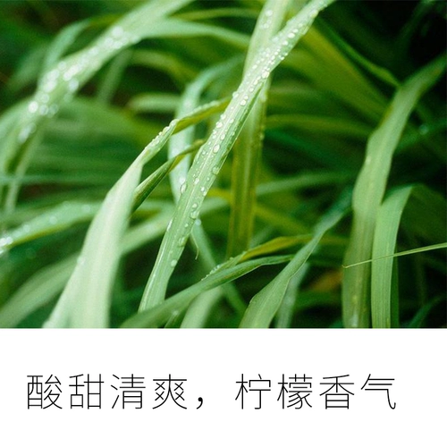 憩息 Лимонный лимонграсс. Одностороннее эфирное масло 10 мл сырого жидкого происхождения: Индонезия