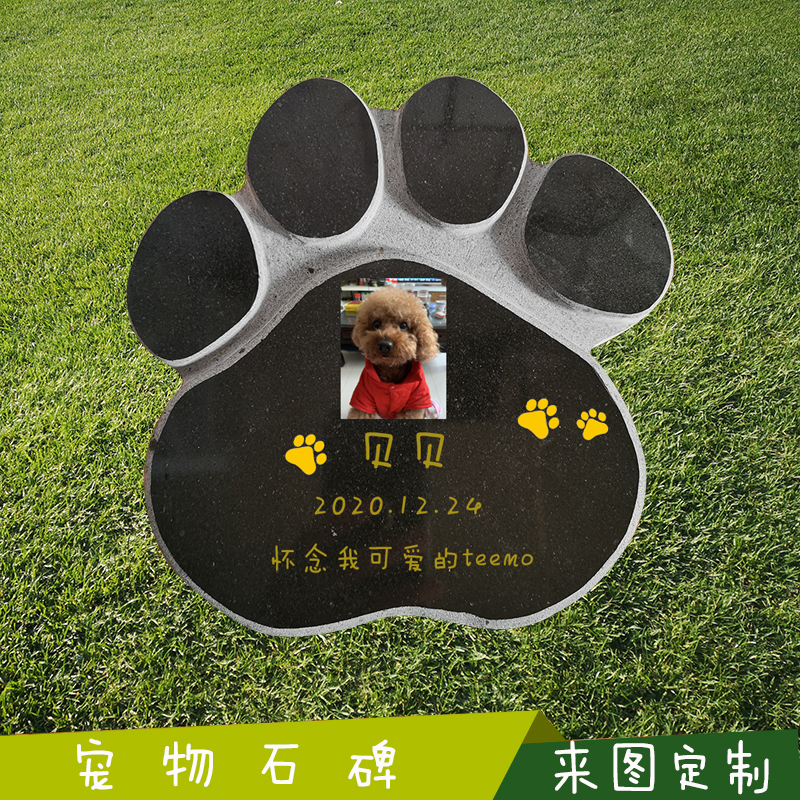 O1CN01fJkPdB1hwDzoKm2h1_!!2200696674341.jpg