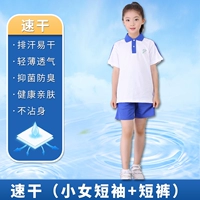 Быстросохнущая футболка, шорты